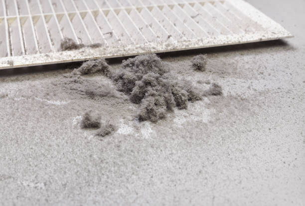 Best Home Air Vent Cleaning  in Shrewsbury, NJ
