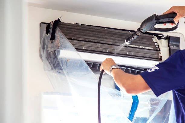 Best Air Duct Mold Removal  in Shrewsbury, NJ