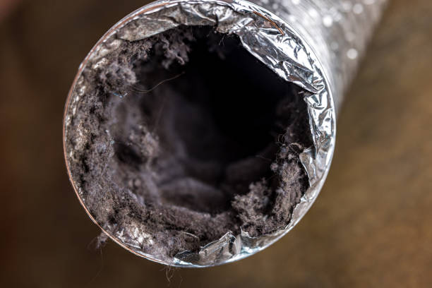 Best Air Duct Cleaning Near Me  in Shrewsbury, NJ
